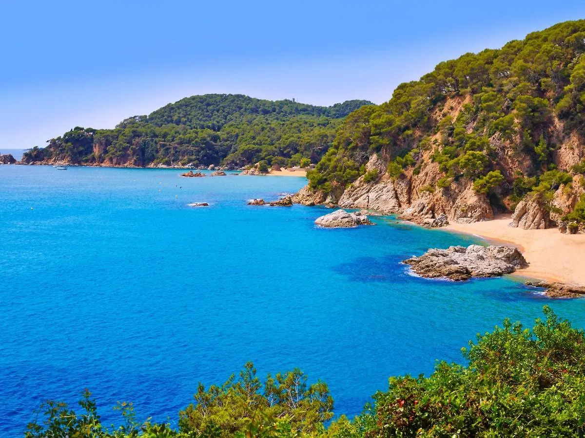 Apartment Gardenia By Interhome Lloret de Mar Spain